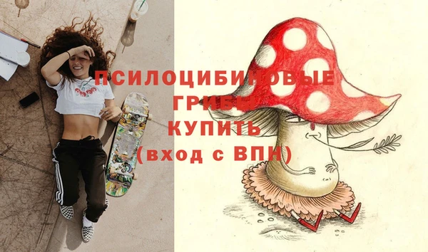 дмт Кукмор