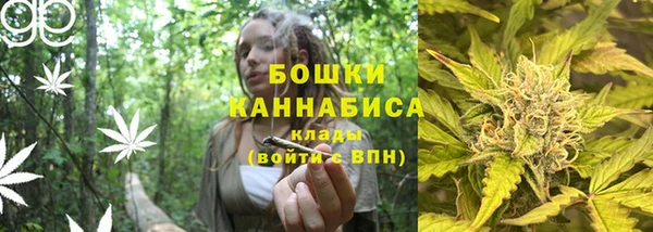 тгк Кулебаки