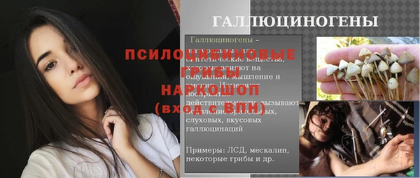 дмт Кукмор
