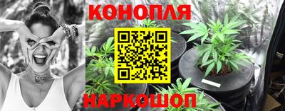 a pvp Камышлов