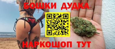 a pvp Камышлов