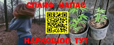 ешки Канаш