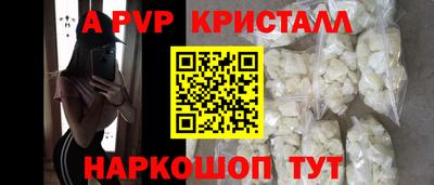 a pvp Камышлов