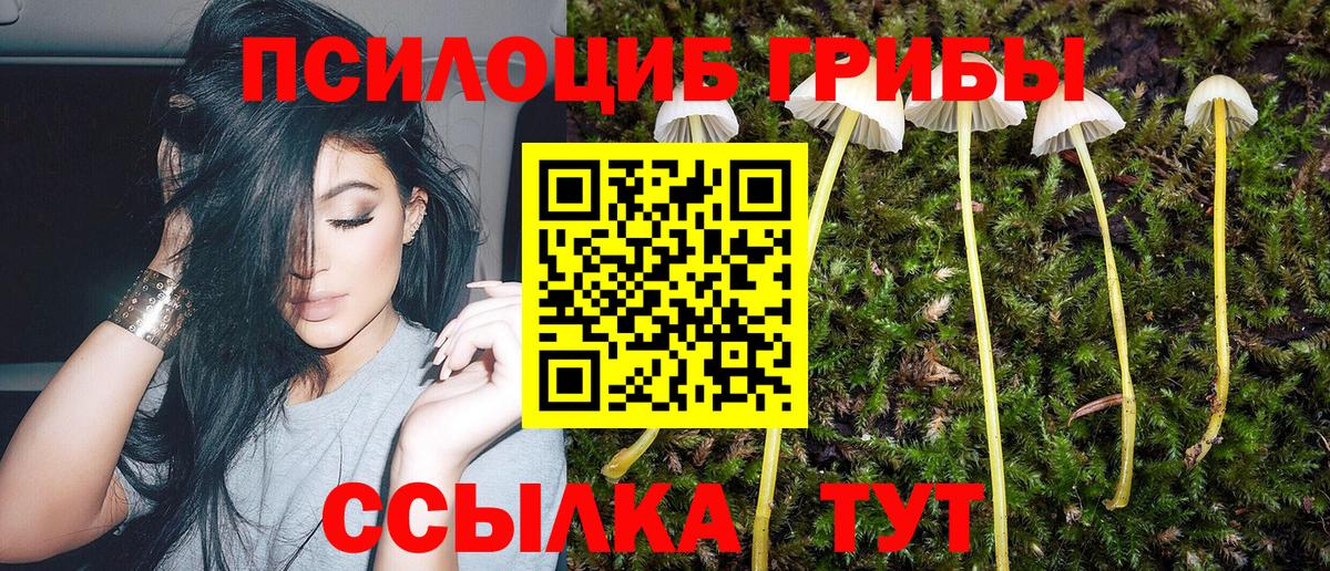 Луга  Галлюциногенные грибы мицелий  Псилоцибиновые грибы MAGIC MUSHROOMS  Вход с VPN 